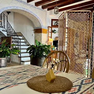 Hotel Busquets